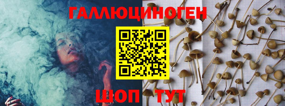 Псилоцибиновые грибы мухоморы  Вход с VPN  дарнет шоп  Ярцево  Псилоцибиновые грибы GOLDEN TEACHER 